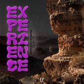 Dayson Pro - Experience (EP)