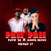 Drumz LT ft Menor Bronx & Flow 28 - Prii Prii